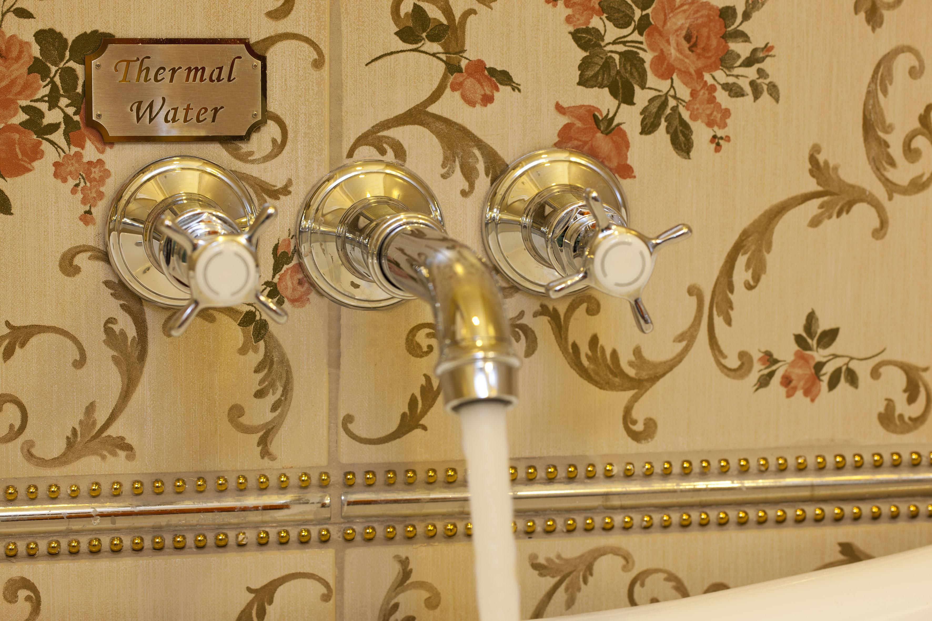 Limak Yalova Thermal Boutique Hotel Gokcedere Ngoại thất bức ảnh